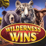 Wilderness Wins